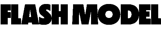 Flash Model