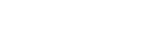 Flash Model